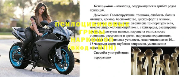 дурь Алексеевка