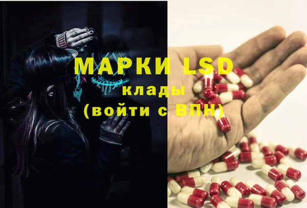спиды Алзамай