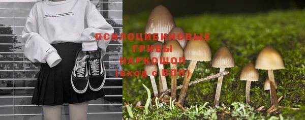 спиды Алзамай