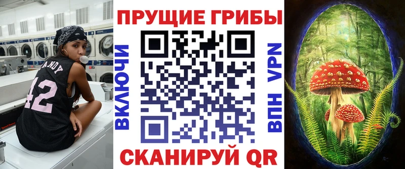 Галлюциногенные грибы Magic Shrooms  Вичуга 